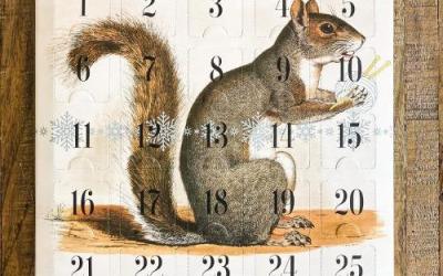 Shop Firefly Notes Stitch Marker Advent Calendar 2021