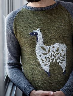Alpacacino- An Intarsia Sweater Class