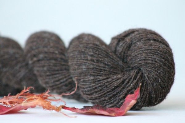 Moeke Elena Single