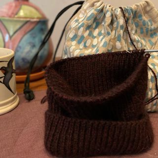 Morning Walk Hat Knit