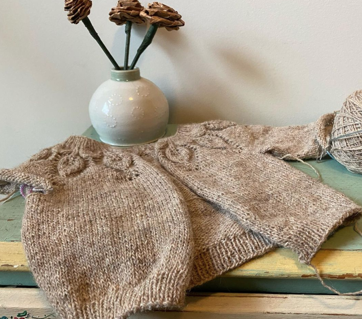 Quince and Co Owlet Baby Sweater