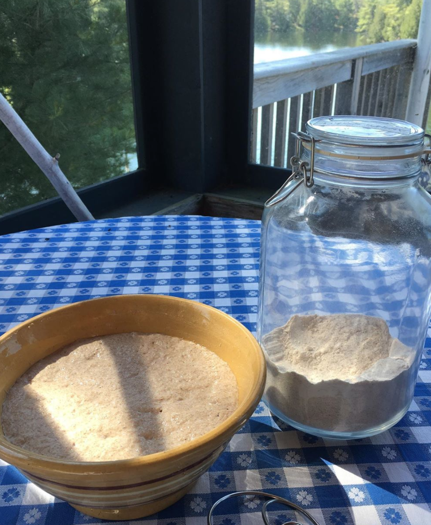 Breadtopia Whole Grain Sourdough Starter