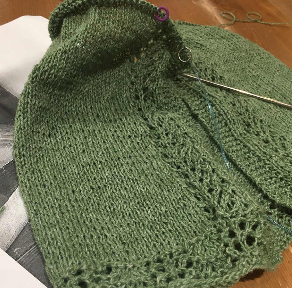 Progress on Old Shale Cardigan