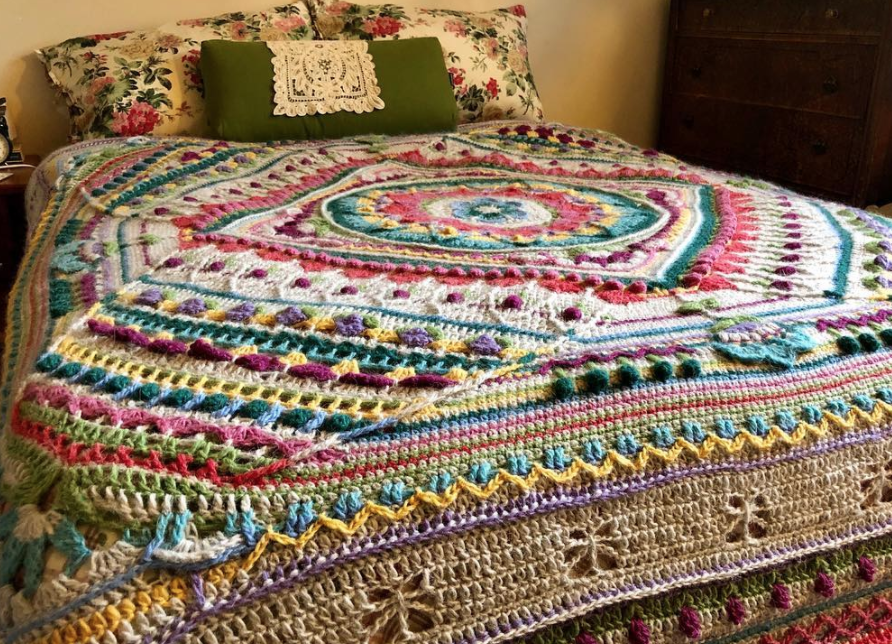 Barberton Daisy’s Sophie’s Universe Finished