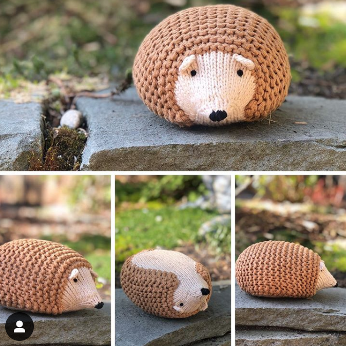 Finished Hedgehogs Project