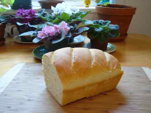 Bread