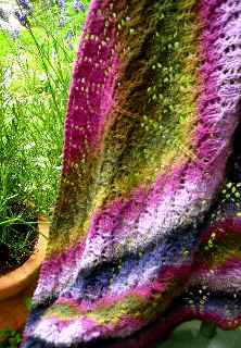 Learn about Lace