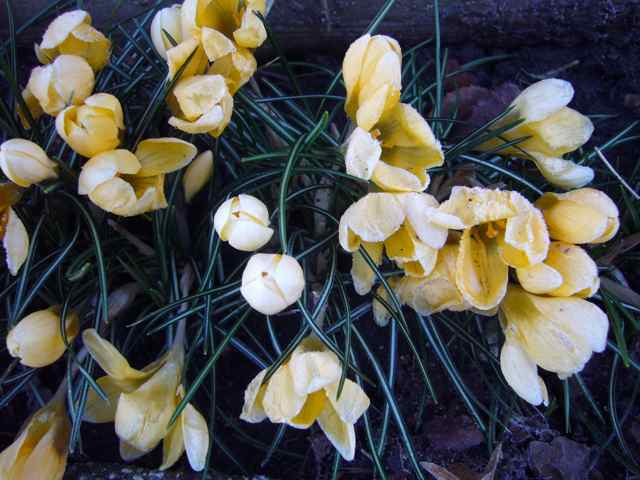 Spring . . .