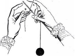 Learn
